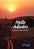 Noite adentro (Menalton Braff)