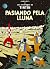 Pasiando pela Lluna by Hergé Pasiando pela Lluna by Hergé