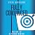 Fully Convinced: The Art of...