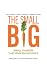 The small BIG - Small Chang...
