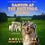 Danger at the Sheepdog Tria...