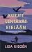 Kurjet lentävät etelään