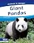 Giant Pandas