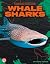 Whale Sharks
