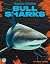 Bull Sharks