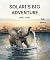 SOLARI'S BIG ADVENTURE by Janet Ford