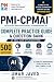 PMI-CPMAI Exam Practice Que...