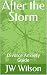 After the Storm by Jw Wilson