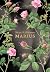 Marius