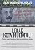 Lebak Kota Multatuli: Terje...