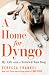 A Home for Dyngo: My Life w...