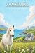 Connemara | A Colouring Boo...