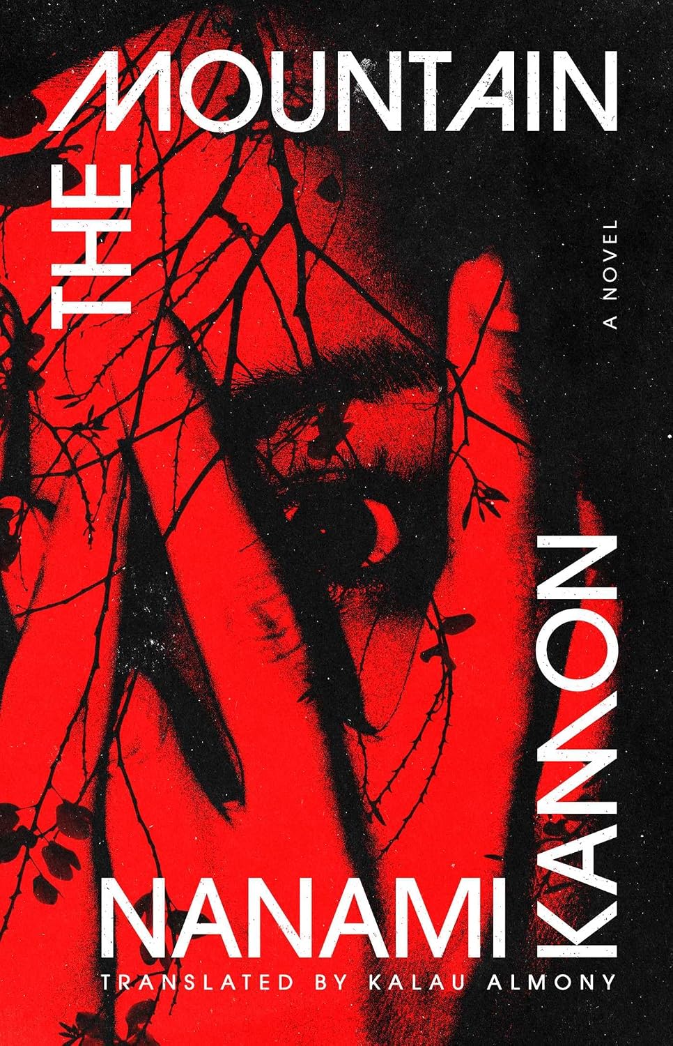 The Mountain