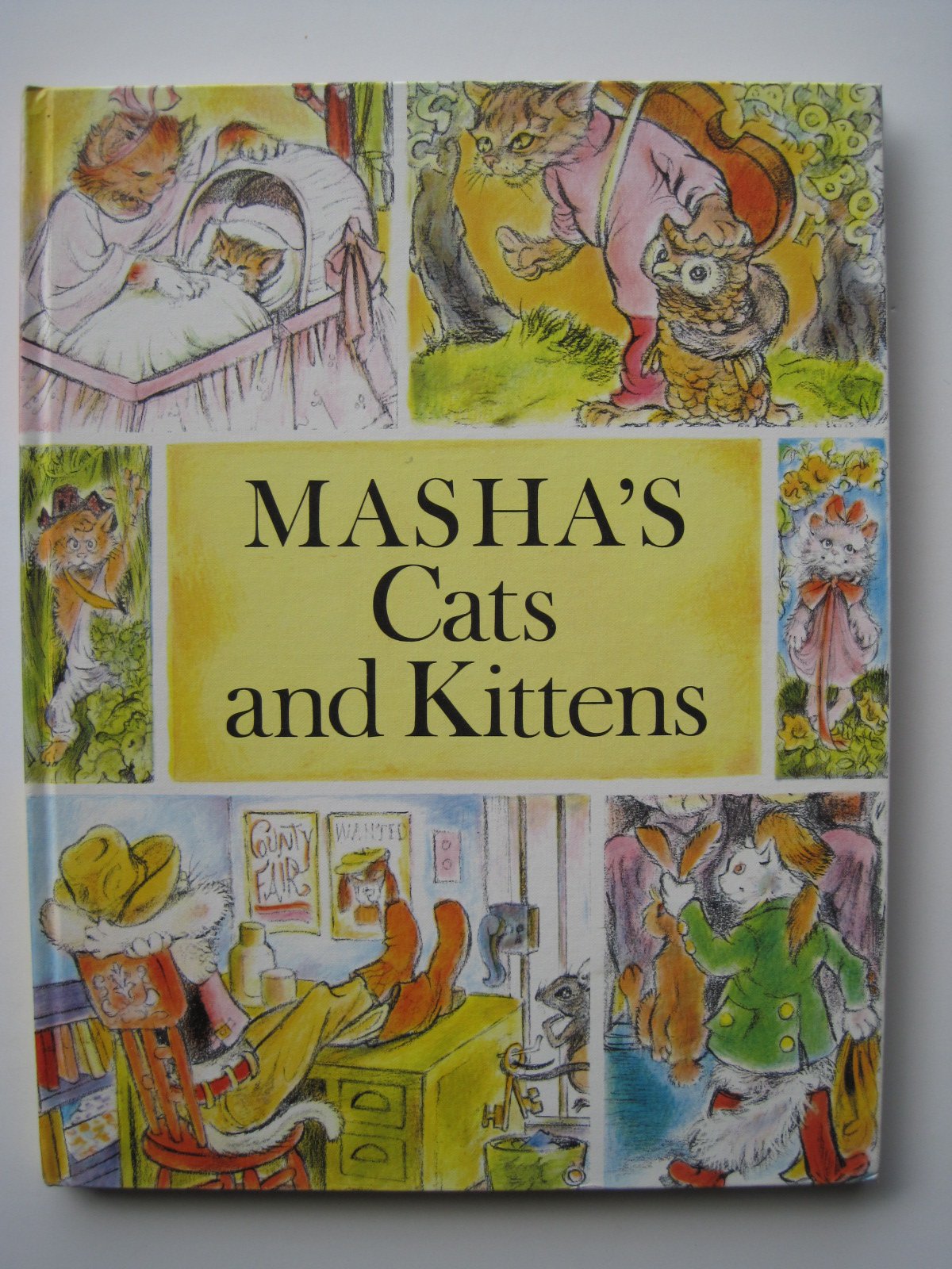 Masha's cats and kittens