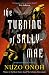 The Turning of Sally-Mae by Nuzo Onoh