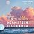 Die Bernsteinfischerin