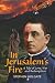 In Jerusalem's Fire by Stephen Holgate In Jerusalem's Fire by Stephen Holgate