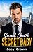 Second Chance, Secret Baby:...