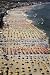 Andreas Gursky