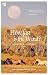 How Fast is the Wind?: An A...
