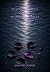 Scar of Our Souls by Ashborn Raven Scar of Our Souls by Ashborn Raven