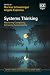 Systems Thinking: Mastering...