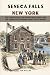 Seneca Falls New York: The ...