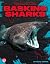 Basking Sharks by Ruth Aaron
