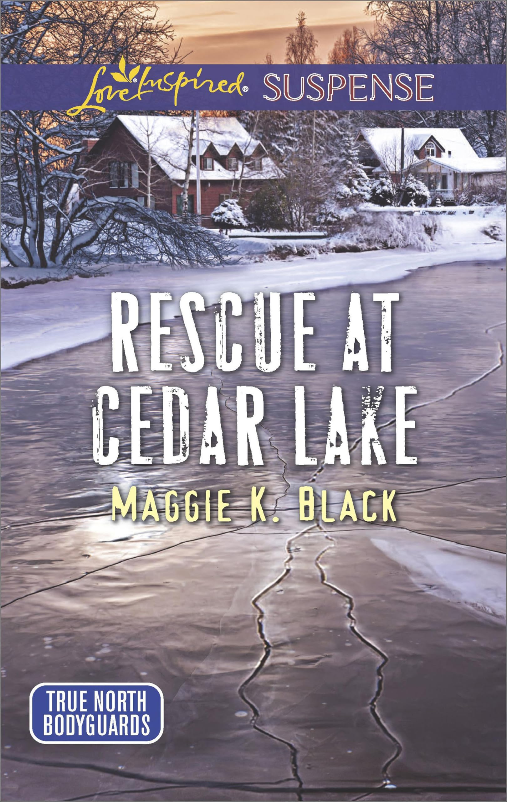 Rescue at Cedar Lake (True North Bodyguards #2)