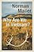 Why Are We in Vietnam?