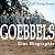 Goebbels: Eine Biographie