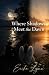 Where Shadows Meet the Dawn