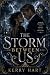 The Storm Between Us