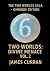 Two Worlds: Divine Menace V...