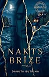 Nakts brīze