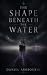 THE SHAPE BEYOND THE WATER:...