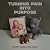 Turning Pain into Purpose by Brandy Krueg LCSW CCISM