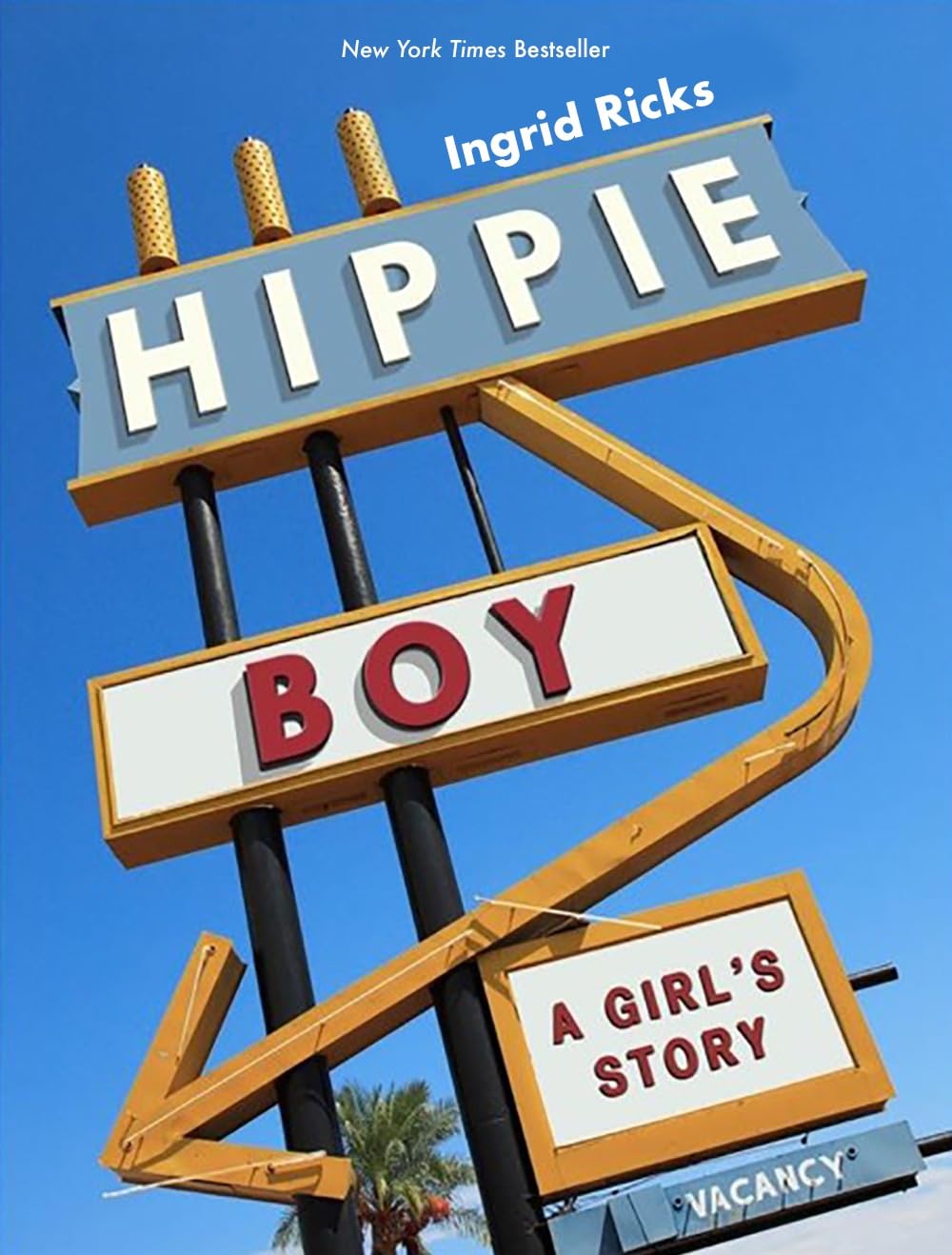 Hippie Boy: A Girl's Story -- A Memoir
