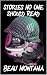 Stories No One Should Read by Beau Montana