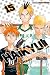 Haikyu!!, Vol. 15 by Haruichi Furudate