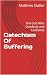 Catechism Of Suffering by Matthew Statler