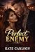 Perfect Enemy (Inked Legacy Series Book 2)