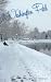 Washington Park