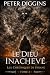 Le dieu inachevé (Les chron...
