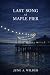 Last Song At Maple Pier
