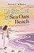 Lights Out at Sea Oats Beach by Karen C. Whalen Lights Out at Sea Oats Beach by Karen C. Whalen