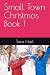 Small Town Christmas Book 1