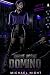 Rogue Agent Domino: An Erot...