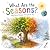 What Are the Seasons?: Why ...