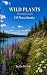 Wild Plants (beautiful weed...